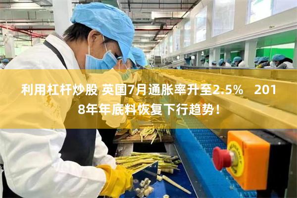 利用杠杆炒股 英国7月通胀率升至2.5%   2018年年底料恢复下行趋势！