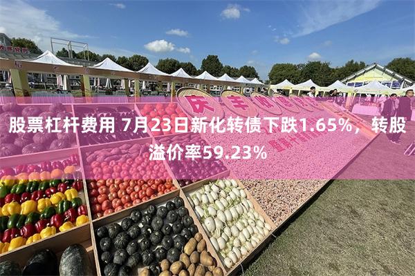 股票杠杆费用 7月23日新化转债下跌1.65%，转股溢价率59.23%