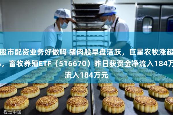 股市配资业务好做吗 猪肉股早盘活跃，巨星农牧涨超3%，畜牧养殖ETF（516670）昨日获资金净流入184万元