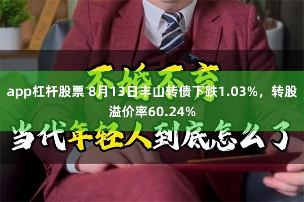 app杠杆股票 8月13日丰山转债下跌1.03%，转股溢价率60.24%