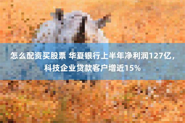 怎么配资买股票 华夏银行上半年净利润127亿，科技企业贷款客户增近15%