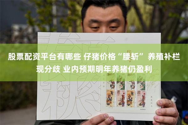 股票配资平台有哪些 仔猪价格“腰斩” 养殖补栏现分歧 业内预期明年养猪仍盈利