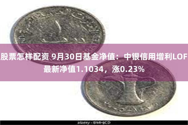 股票怎样配资 9月30日基金净值：中银信用增利LOF最新净值1.1034，涨0.23%