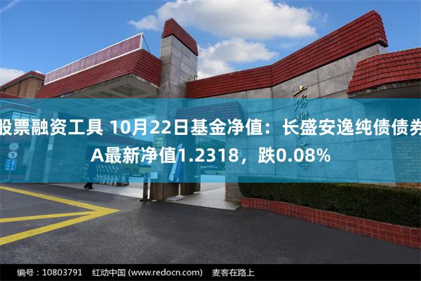 股票融资工具 10月22日基金净值：长盛安逸纯债债券A最新净值1.2318，跌0.08%