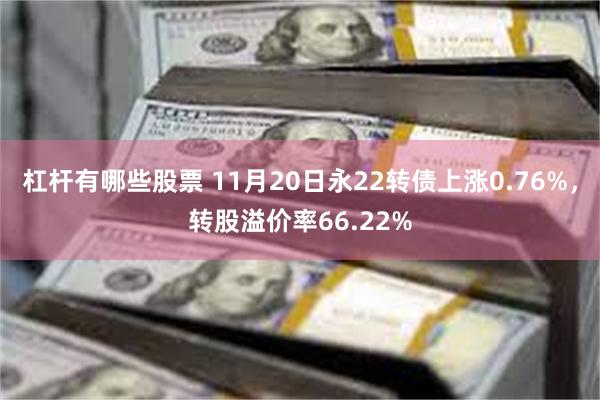 杠杆有哪些股票 11月20日永22转债上涨0.76%，转股溢价率66.22%