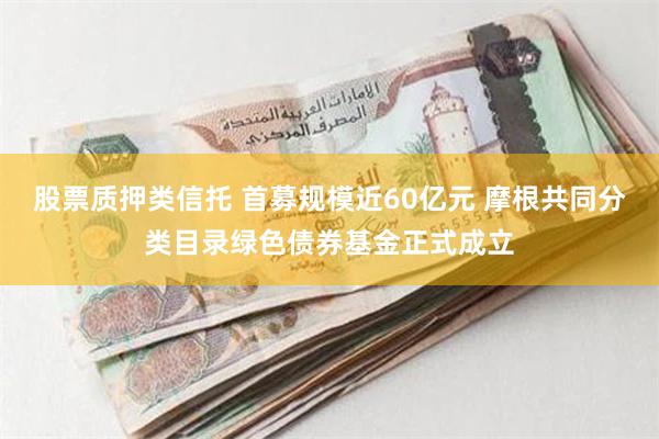 股票质押类信托 首募规模近60亿元 摩根共同分类目录绿色债券基金正式成立